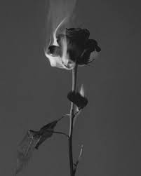 Emo Rap Aesthetic Tumblr Yahoo Search Results Image Search Results Rap Aesthetic Emo Aesthetic Art Photography Portrait