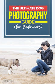 A pet photography session costs $150 per hour with up to two pets and two people, though you can add more subjects for just $25 each. Pin On Dog Photography Dog Food Photos
