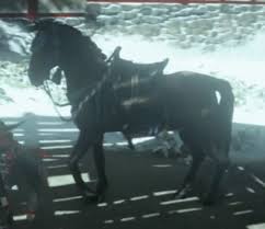 After you've beaten the game's main campaign, you'll see an option that when you get started in new game plus, you'll notice you've been given a new horse with a red mane. Horse Name Colors Choice Guide Ghost Of Tsushima Gamewith
