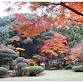 Special Autumn Foliage Viewing at Aso Oura Residence event image