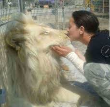 We bought a zoo la mia vita e uno zoo 2011 italian brrip xvid bluworld rar. Trfihi Parks Parks La Mia Vita E Uno Zoo La Favola Siamo Noi Arena