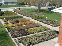 Starting A Plant Nursery Plant Nursery Plants Greenhouse Plans