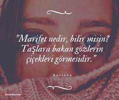 Gozler Ile Ilgili Sozler Goz Ile Ilgili Guzel Sozler Sozumsoz Guzel Soz Gozler Yesil Gozler