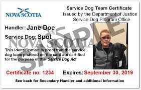 Unfortunately, based on your responses from the screening, you. Service Dog Act Government Of Nova Scotia Canada