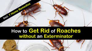 Whether the caffeine present in the coffee can kill these roaches or its aroma can act as. 8 Super Simple Ways To Get Rid Of Roaches Without An Exterminator