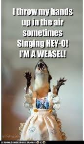 I M A Weasel Bones Funny Laughing So Hard Haha Funny