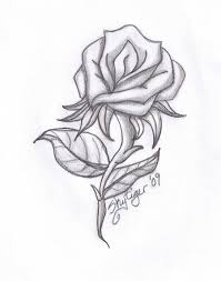 A Rose Is A Woody Perennial Of The Genus Rosa Within The Family Rosaceae There Are Over 100 Species They Form A Group Roses Drawing Rose Sketch Rose Drawing