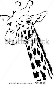 Giraffe african savannah animal cartoon vector. Giraffes Stock Photos Giraffes Stock Photography Giraffes Stock Images Shutterstock Com Giraffe Images Giraffe Drawing Giraffe Art