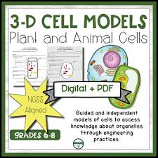 Check spelling or type a new query. Jello Cell Worksheets Teaching Resources Teachers Pay Teachers
