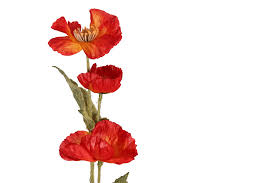 Artificial Poppy Stem | Blooming Artificial