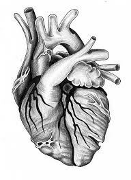 Heart Tattoo Sketch Disenos De Tatuajes De Corazon Dibujos De Corazones Tatuaje Corazon