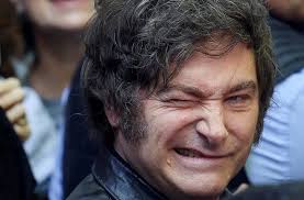 Argentina's Milei vows more reforms after stunning midterm elections  victory