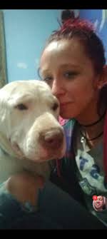 Khaleesi is still missing. Possibly spotted heading north towards west  Sharon off of Puffer rd through someones back yard and into the woods