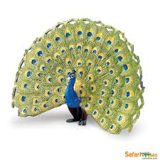 Download Safaripedia Peacock