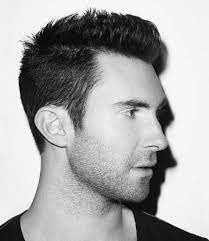 Men Short Hairstyle Ideas Mens Hairstyles 2013 Trendy Short Hair Styles Mens Hairstyles Short Mens Hairstyles Thick Hair