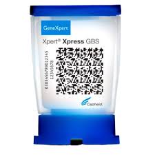 Image result for Group B Streptococcus Prophylaxis