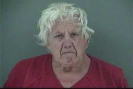 GOAD, TERRY L Charge: THEFT $1,000 OR LESS This information and more is  available at https://tnac.isoms.cloud:8001/portal/Jail?hours=24