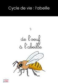 De La Magie Dans La Cuisine Cabane A Idees Cycle De Vie Abeille La Vie Des Abeilles