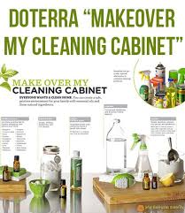 Pin On Eo Cleaning