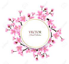 Spring Cherry Blossom Frame Isolated Round Text Template With Sakura Tree Flowers Frame Realistic Pink Floral Border Flower Frame Cherry Blossom Sakura Tree