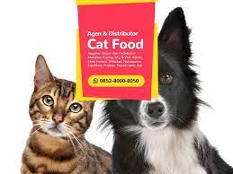 Read writing from distributor makanan kucing on medium. Termurah Wa 0852 8000 8050 Agen Makanan Kucing Makanan Kucing Makanan Anjing Kucing