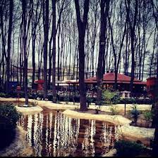 orman park sakarya turkiye ormanlar park sehir