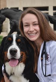 BluePearl Pet Hospital Pittsburgh North