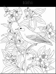 He'll read a fun fact about the state flag's symbols as he colors. Idaho State Flower Coloring Page Coloring Home