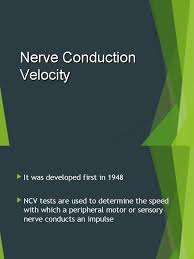 Image result for Nerve Conduction Velocity