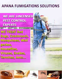 Pests like cockroaches are resilient and filthy. Apana Fumigation Solution Facebook