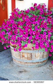 Pin By Sherri Jenkins On Garden Ideas Barrel Flowers Container Flowers Flower Planters