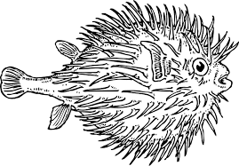 Blowfish Clip Art Vector Clip Art Online Royalty Free Public Domain Public Domain Clip Art Fish Outline Blowfish