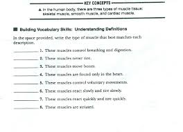 With an included answer sheet, your marking and correction will be quick and easy and done in record time. Skeletal Muscular System 7 Red Team