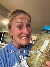 Are these touch me not?? They have grown into a big plant and very slow in  closing up when touched . Are they edible.. medicinal ??