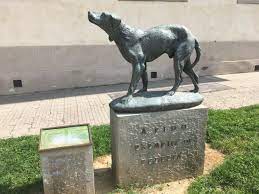Free, secure and fast fido software downloads from the largest open source applications and software directory. Monumento Al Cane Fido Borgo San Lorenzo 2021 All You Need To Know Before You Go Tours Tickets With Photos Tripadvisor