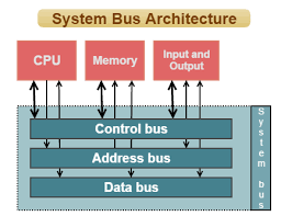 System Bus In Computers Definition Networking Basics Reading Data Computer Science