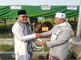 Gambar mewarnai hewan kurban idul adha gambarcoloring pada saat hari saya kurban idul adha banyak beberapa dari kita yang berkurban kambing maupun sapi beberapa dari anda kemudian tentunya mencari contoh gambar kambing atau bahkan sketsa gambar mewarnai kambing hewan kurban untuk anak anda 10 mewarnai gambar hewan kurban. Bupati Dan Wabup Serahkan Hewan Kurban Ke Phbi Beritakaltim Co