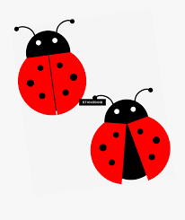 Red Ladybug Bugs Insects Ladybug Clipart Png Free Transparent Clipart Clipartkey The advantage of transparent image is that it can be used efficiently. red ladybug bugs insects ladybug