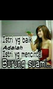  18 Ide Gambar Lucu Gambar Lucu Lucu Gambar