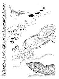 Download coral reef stock vectors. Papahanaumokuakea Marine National Monument