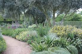 A Garden You Water Four Times A Year Drought Tolerant Garden Mediterranean Garden Mediterranean Garden Design