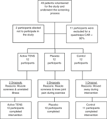 Consort Flowchart Tens Transcutaneous Electrical Nerve