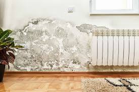 Il peut arriver que rien ne soit visible ou flagrant et que l'eau ou l'humidité persiste dans votre appartement. Que Faire En Cas D Infiltration D Eau Groupe Sari