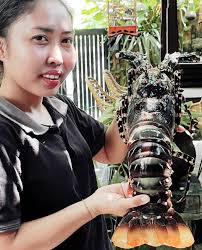 Lobster Feast at Jendela 🦞 Gather your loved ones and delight in a dining  journey where flavours meet memories. Savour the smoky richness of our  Salmon Lobster Pizza and the heart-warming comfort