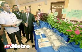 Jalan datuk kumbar, kampung sakan, 05300 alor setar, kedah, malaysia. Mbas Kurang Kos Selenggara Landskap Harian Metro