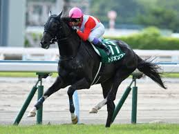 Check spelling or type a new query. å°å€‰è¨˜å¿µ 2018 å›žé¡§ ã•ã‚ï½‡ï¼'ãŒè¦‹ãˆã¦ããŸãž ç«¶é¦¬äºˆæƒ³ã®ã‚­ãƒ³ã‚°ã‚¹ãƒãƒ¼ãƒ„