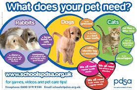 Downloadable Posters Guides And Information All You Need For A Pet Topic From The Pdsa Pets Preschool Pets For Sale Class Pet