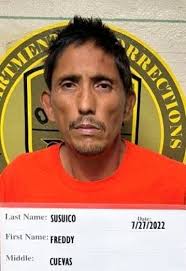 Suspect admits to multiple car thefts, burglaries and sexual ass