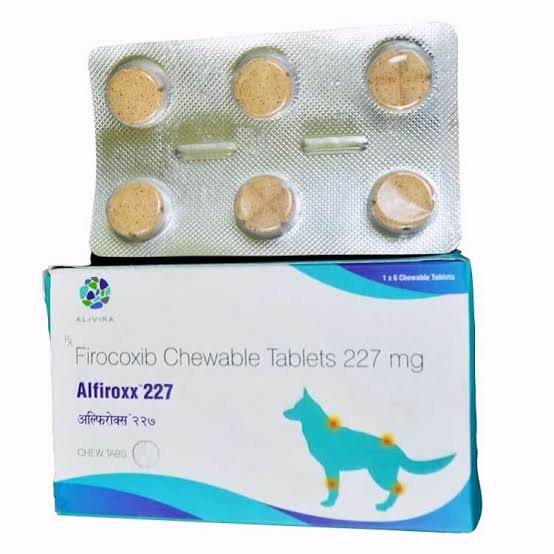 Firocoxib Alfiroxx 57mg/227mg chewable tablets for dogs, 6 tabs - LoyalPetZone India