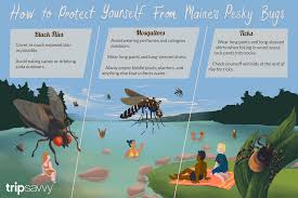 Pest control general store was founded in december of 1987 and has been at the same location for over 29 years. Maine Mosquitoes Black Flies Ticks Protect Yourself